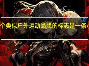 一个类似户外运动品牌的标志是一条小波浪线，经常看到有人背波浪线牌子的包包，想知道这个牌子叫啥