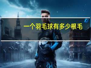 一个羽毛球有多少根毛
