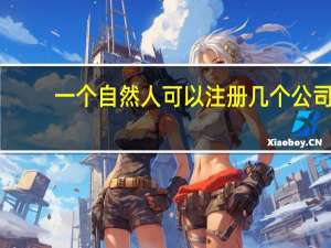 一个自然人可以注册几个公司