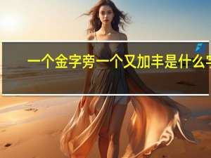 一个金字旁一个又加丰是什么字