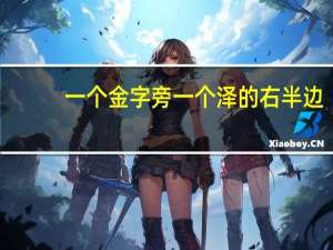 一个金字旁一个泽的右半边（一个金字旁一个泽的右边）