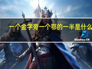 一个金字旁一个鄂的一半是什么字