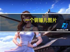 一个钢镚儿图片（一个钢镚儿百度云）
