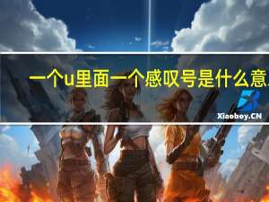 一个u里面一个感叹号是什么意思