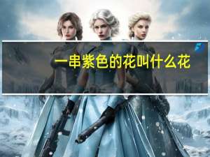 一串紫色的花叫什么花