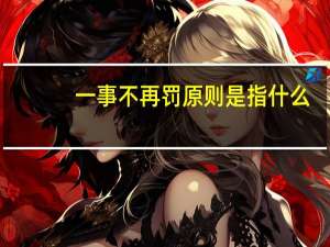 一事不再罚原则是指什么