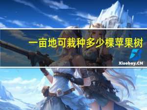 一亩地可栽种多少棵苹果树