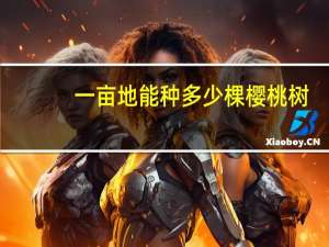 一亩地能种多少棵樱桃树