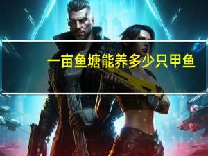 一亩鱼塘能养多少只甲鱼