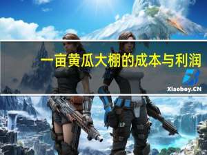 一亩黄瓜大棚的成本与利润