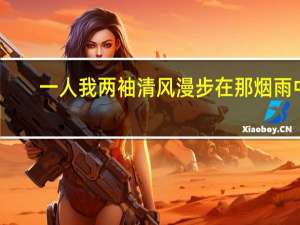 一人我两袖清风漫步在那烟雨中（一人我两袖清风）