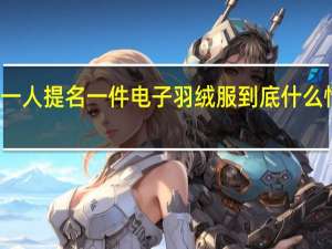 一人提名一件电子羽绒服 到底什么情况嘞