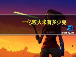 一亿粒大米有多少克