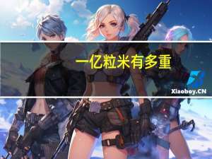 一亿粒米有多重