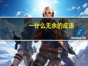 一什么无余的成语