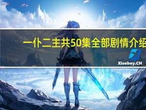 一仆二主共50集全部剧情介绍（一仆二主共多少集）