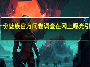 一份魅族官方问卷调查在网上曝光引起热议