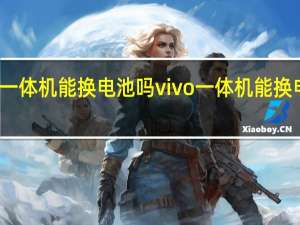 一体机能换电池吗vivo 一体机能换电池吗