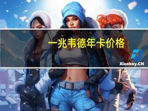 一兆韦德年卡价格（一兆韦德年卡）