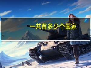 一共有多少个国家