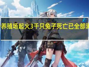 一养殖场起火3千只兔子死亡 已全部消毒掩埋