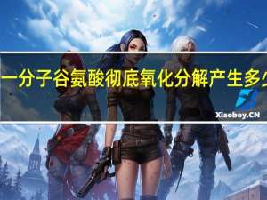 一分子谷氨酸彻底氧化分解产生多少ATP