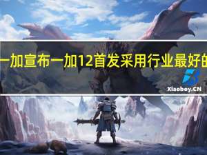 一加宣布一加12首发采用行业最好的2K屏