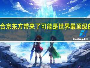 一加联合京东方带来了可能是世界最顶级的屏幕东方屏