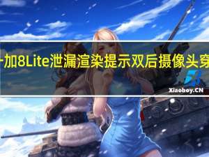 一加8 Lite泄漏渲染提示双后摄像头穿孔显示