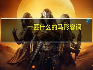 一匹什么的马形容词