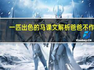 一匹出色的马课文解析爸爸不作声（一匹出色的马课文解析）