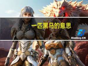 一匹黑马的意思（黑马的意思）