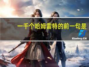 一千个哈姆雷特的前一句是