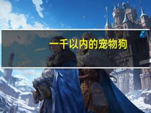 一千以内的宠物狗