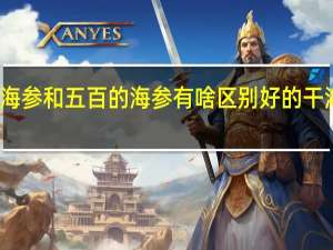 一千八的海参和五百的海参有啥区别 好的干海参多少钱一斤