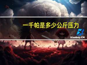 一千帕是多少公斤压力