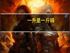 一升是一斤吗