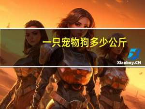一只宠物狗多少公斤