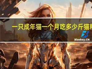 一只成年猫一个月吃多少斤猫粮