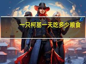 一只柯基一天吃多少粮食