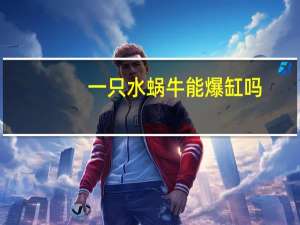 一只水蜗牛能爆缸吗