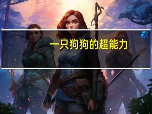 一只狗狗的超能力