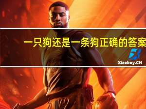 一只狗还是一条狗正确的答案（一只狗）