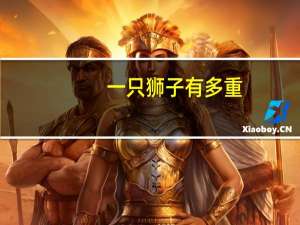 一只狮子有多重