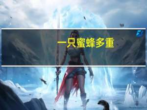 一只蜜蜂多重