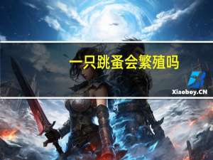 一只跳蚤会繁殖吗