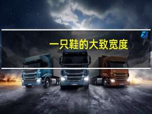一只鞋的大致宽度