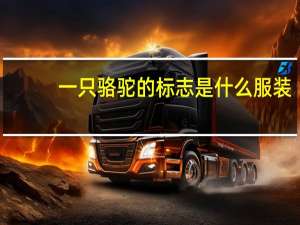 一只骆驼的标志是什么服装