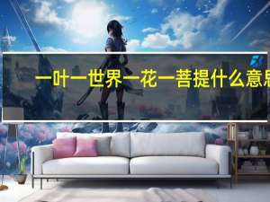 一叶一世界一花一菩提什么意思