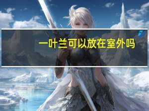 一叶兰可以放在室外吗